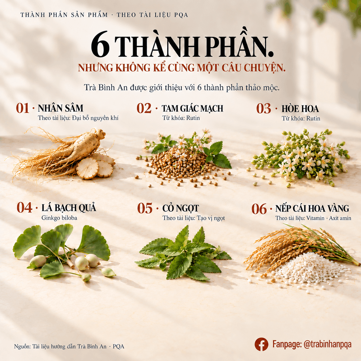 Sáu nguyên liệu Trà Bình An PQA